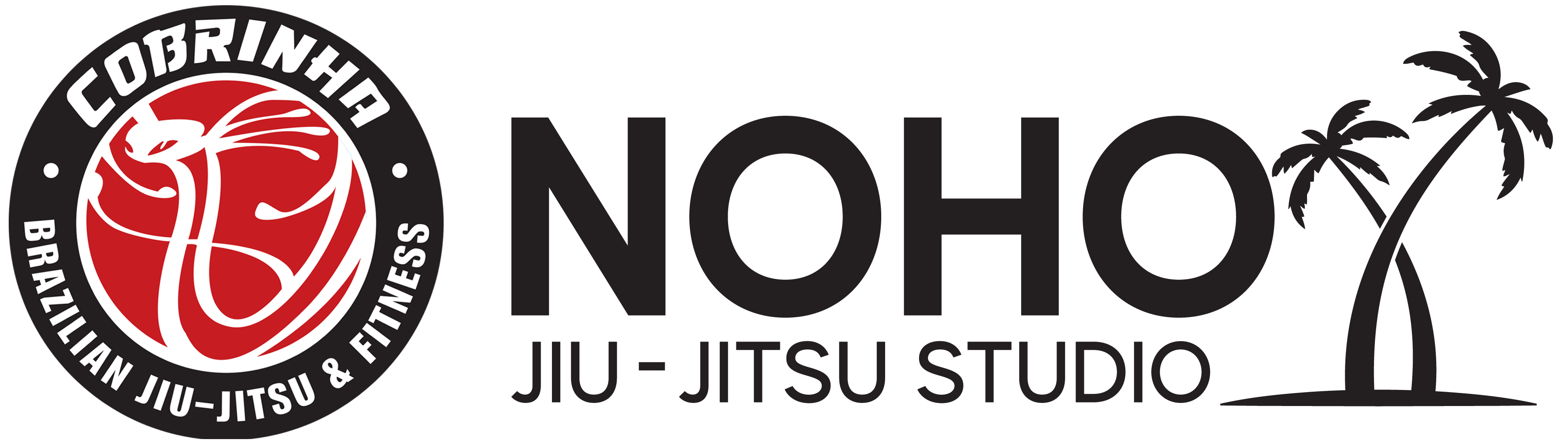 Adult Brazilian Jiu Jitsu - Cobrinha BJJ
