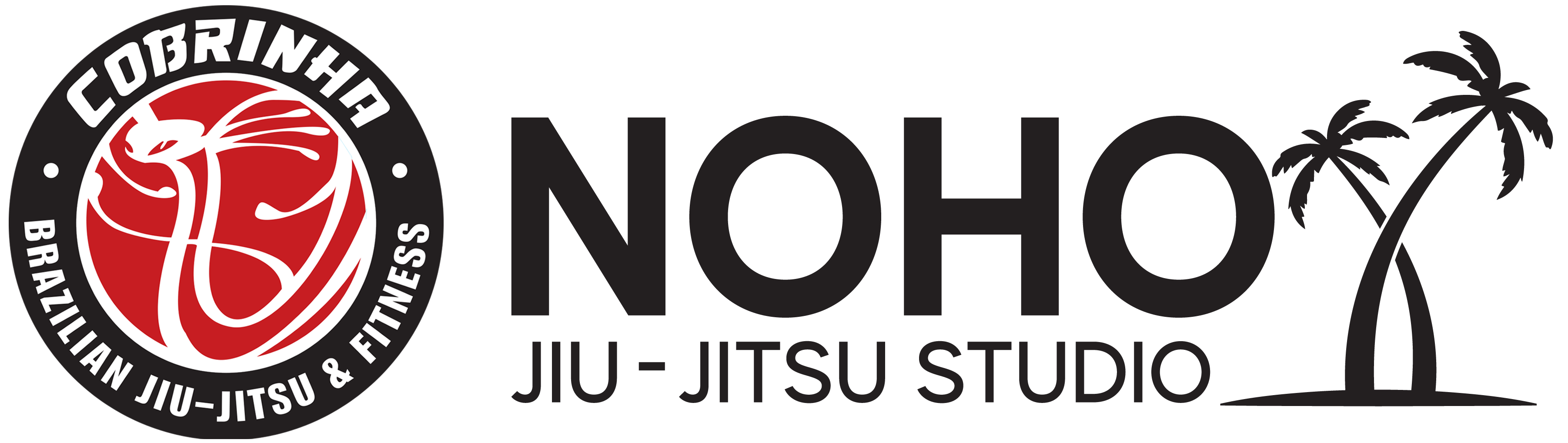 Cobrinha Jiu Jitsu Academy